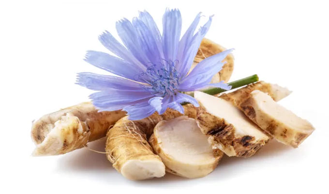 Chicory Root Inulin – EmmaRelieg prebiotic fiber ingredient