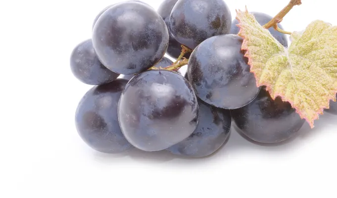 Resveratrol – EmmaRelieg antioxidant gut support ingredient